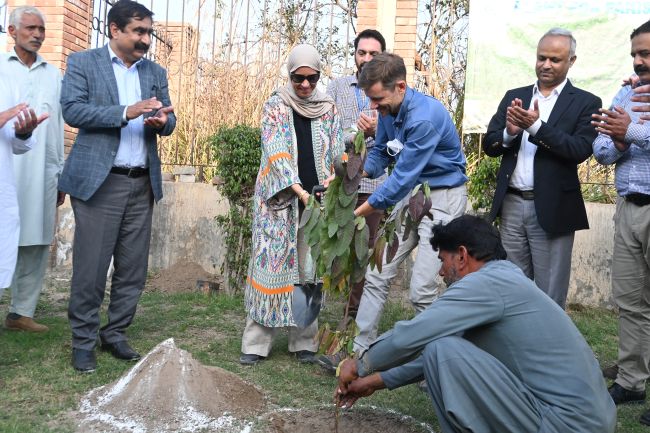 World Bank Task Team leader Francois Onimus along with irrigation officers of Sindh, Punjab planted trees at Ballooki and Trimmu Barrages