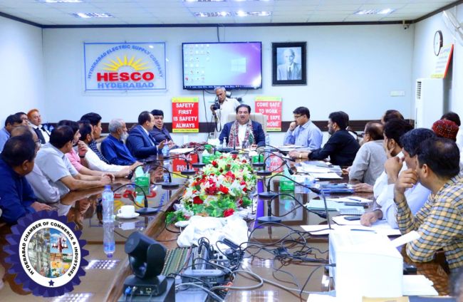 Energy Minister asks HESCO for separate grid station for Hyderabad city
